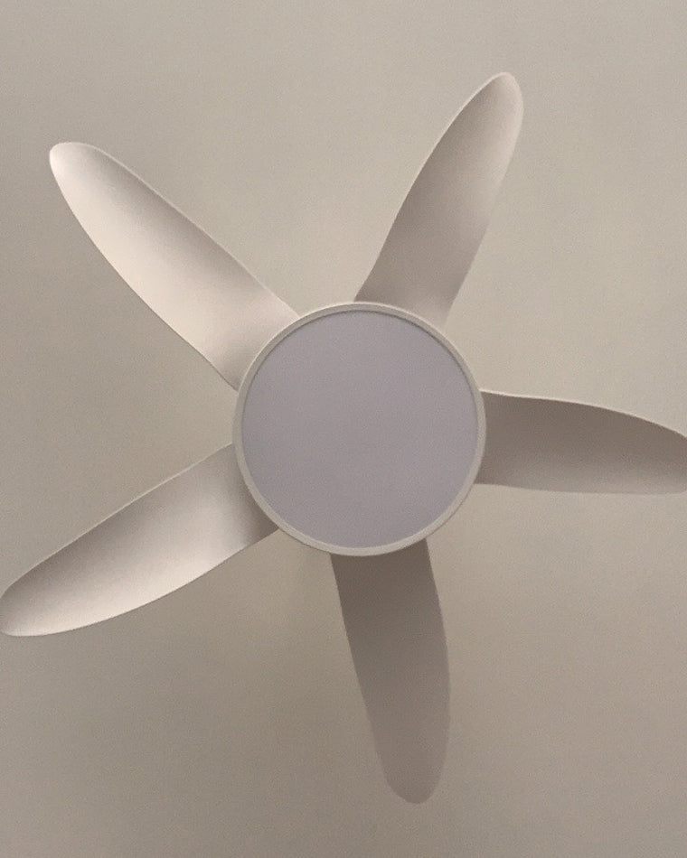 WOMO 5 Blade Contemporary Ceiling Fan Lamp-WM5000