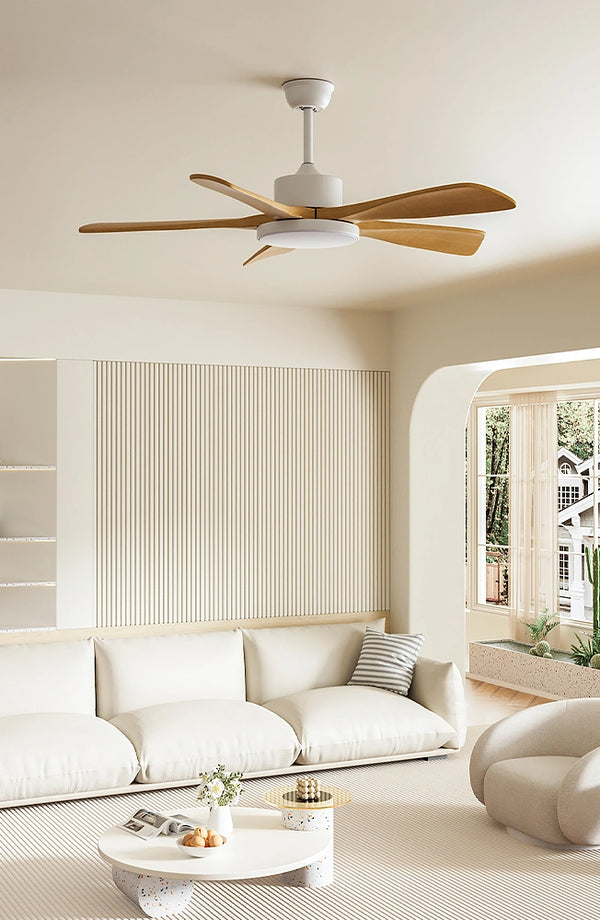 Ceiling Fan Lamps