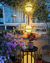 WOMO Globe Plant Wall Sconce-WM6035 thumbnail