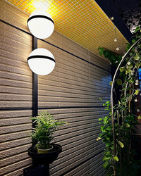 WOMO Globe Plant Wall Sconce-WM6035