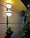 WOMO Globe Plant Wall Sconce-WM6035 thumbnail