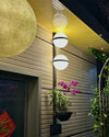 WOMO Globe Plant Wall Sconce-WM6035 thumbnail