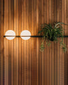 WOMO Globe Plant Wall Sconce-WM6035 thumbnail
