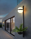 WOMO Globe Plant Wall Sconce-WM6035 thumbnail
