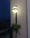 WOMO Globe Plant Wall Sconce-WM6035 thumbnail