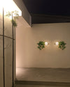 WOMO Globe Plant Wall Sconce-WM6035 thumbnail