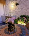WOMO Globe Plant Wall Sconce-WM6035 thumbnail