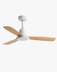 WOMO Modern Ceiling Fan - WM5231