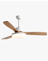 WOMO 3 Blade Modern Ceiling Fan Lamp - WM5210