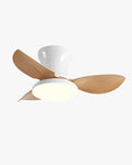 WOMO Small Ceiling Fan Lamp - WM5175