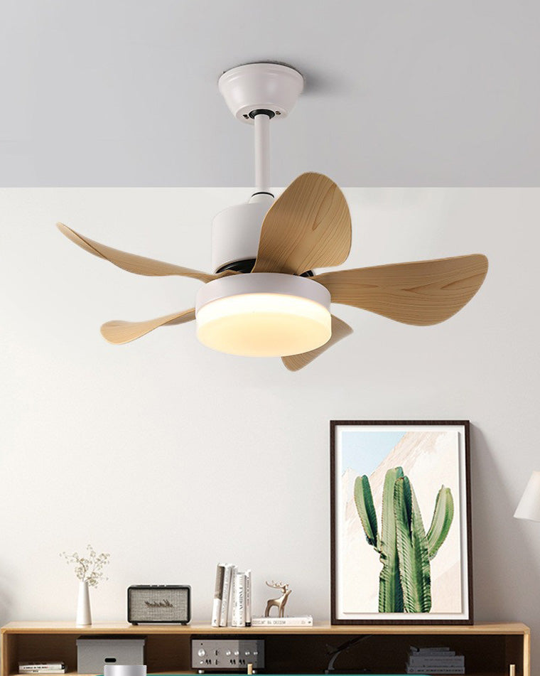 WOMO Small Ceiling Fan Lamp-WM5060