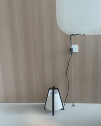 Rear view of the small lantern lamp with visible cord and inline switch against a wood wall.