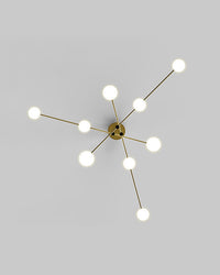 WOMO Branching Frosted Glass Bubble Chandelier-WM2295a