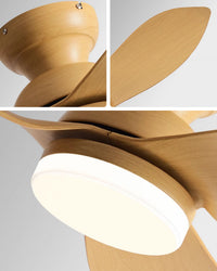WOMO 38 Inch Low Profile Ceiling Fan Lamp-WM5219