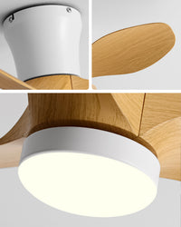 WOMO 3 Blade Small Ceiling Fan Lamp-WM5218