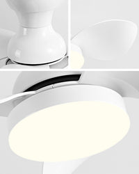 WOMO 22 Inch Small Low Profile Ceiling Fan Lamp - WM5229