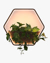 WOMO Outdoor Plant Wall Light-WM9013 thumbnail