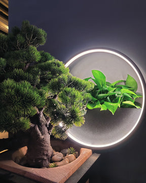 WOMO Outdoor Plant Wall Light-WM9013