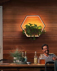 WOMO Outdoor Plant Wall Light-WM9013