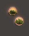 WOMO Outdoor Plant Wall Light-WM9013 thumbnail