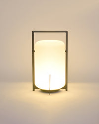 WOMO Outdoor Solar Lantern Light-WM9021