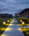 WOMO Solar Landscape Light-WM9041 thumbnail