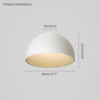 WOMO Dome Asymmetrical Flush Mount Ceiling Light-WM1020