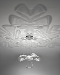 WOMO Leaf Uplight Chandelier-WM2289