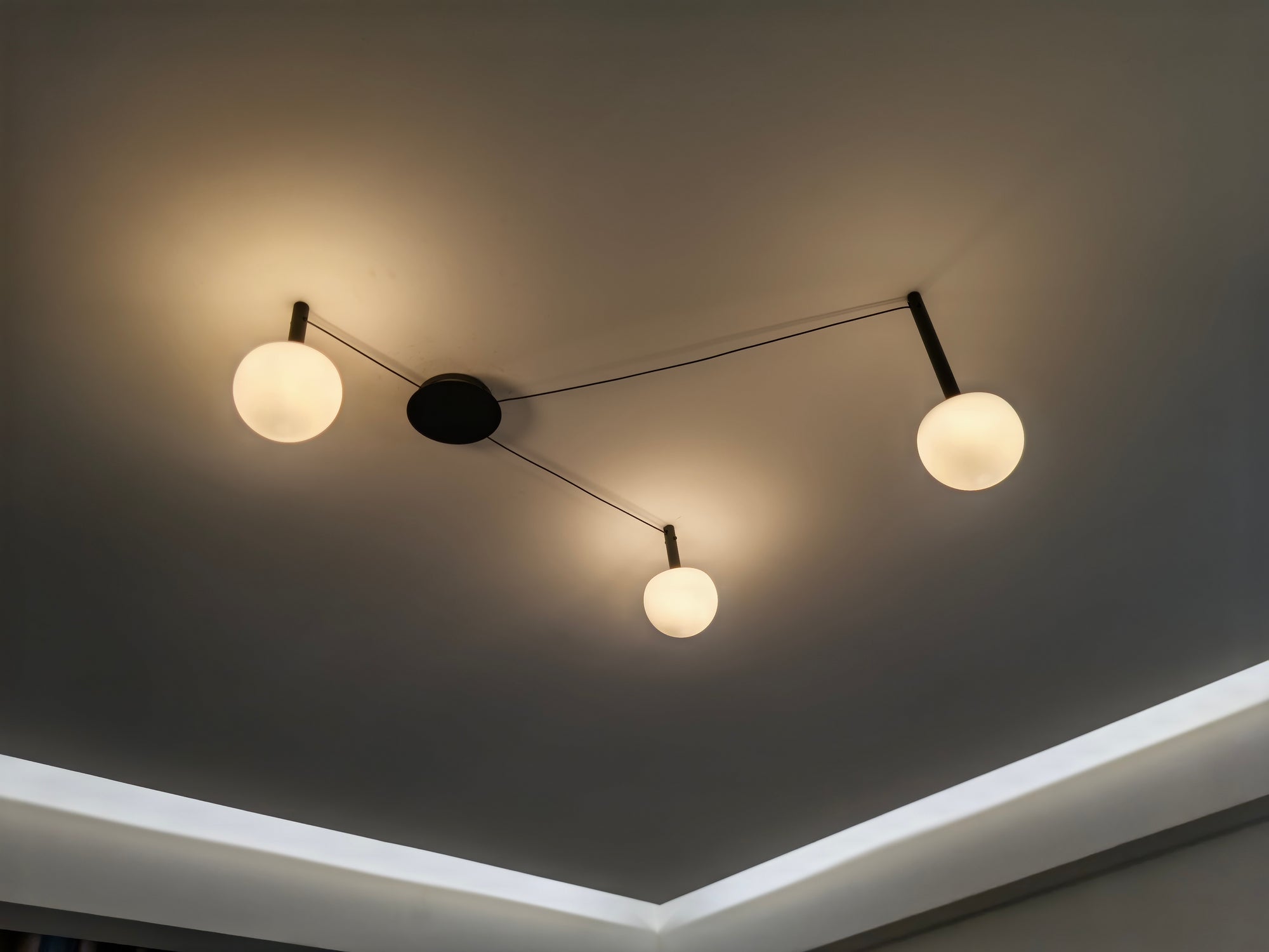 WOMO Custom Frosted Glass Globe Ceiling Light-WM1029