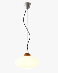WOMO Wabi-sabi Glass Pendant Light-WM3234