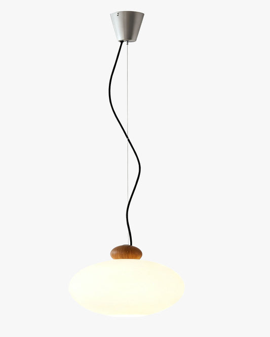 WOMO Wabi-sabi Glass Pendant Light-WM3234