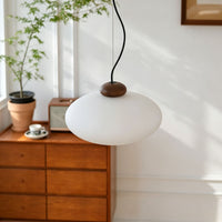 WOMO Wabi-sabi Glass Pendant Light-WM3234